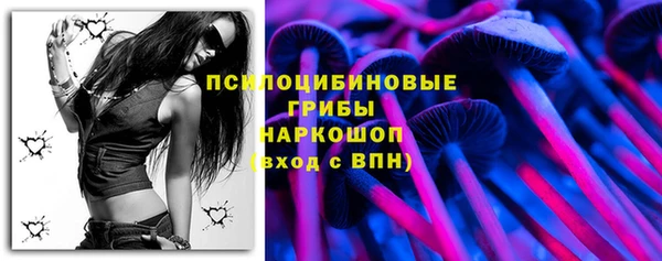 ГАЛЛЮЦИНОГЕННЫЕ ГРИБЫ Вяземский