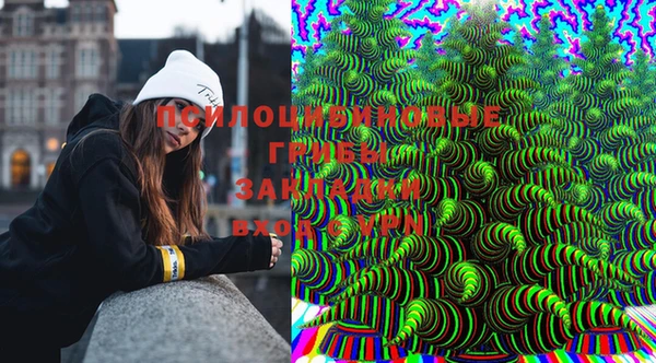 ГАЛЛЮЦИНОГЕННЫЕ ГРИБЫ Вяземский