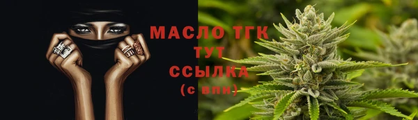 гидра Вязьма