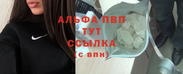 гидра Вязьма
