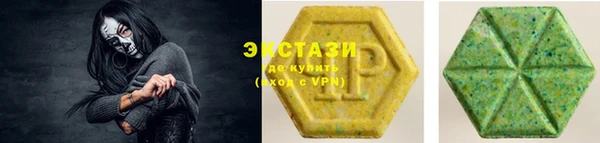 гидра Вязьма