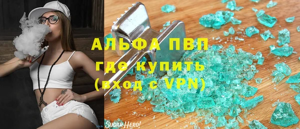 гидра Вязьма