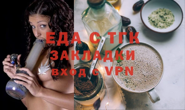 гидра Вязьма