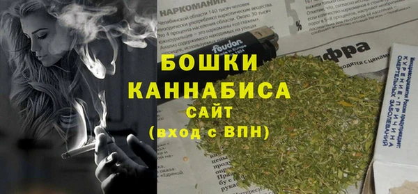 гидра Вязьма