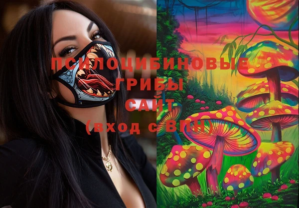 ГАЛЛЮЦИНОГЕННЫЕ ГРИБЫ Вяземский