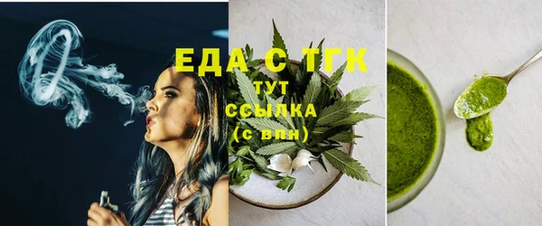 гидра Вязьма