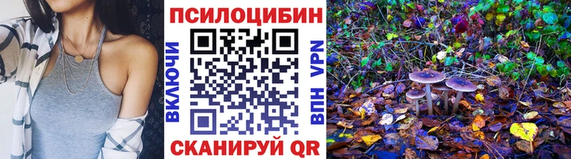 Купить где  Абакан  Псилоцибиновые грибы Psilocybine cubensis 